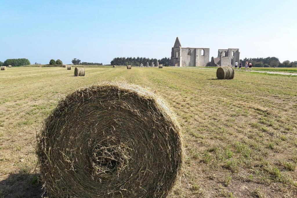 La Virginie - Suite Ile'O La Couarde-sur-Mer Kültér fotó